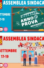 Assemblea Sindacale Neoimmessi